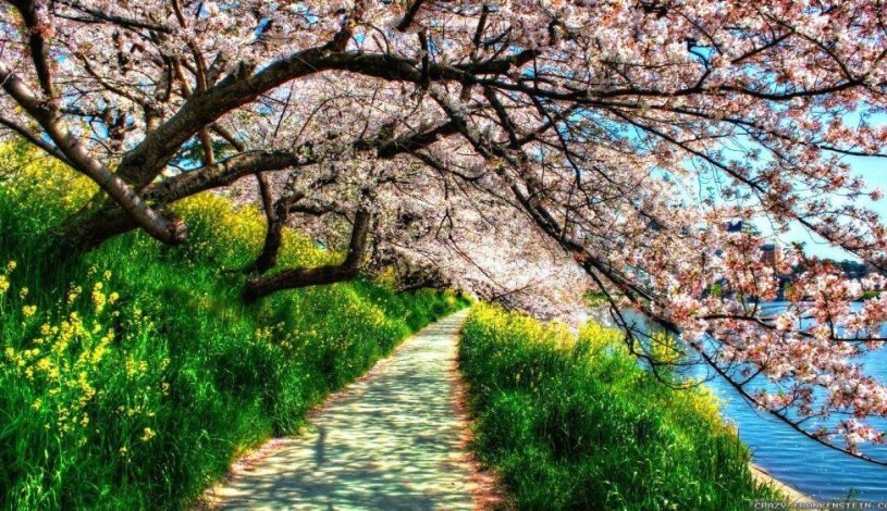 Hotel Sněžka Špindlerův Mlýn